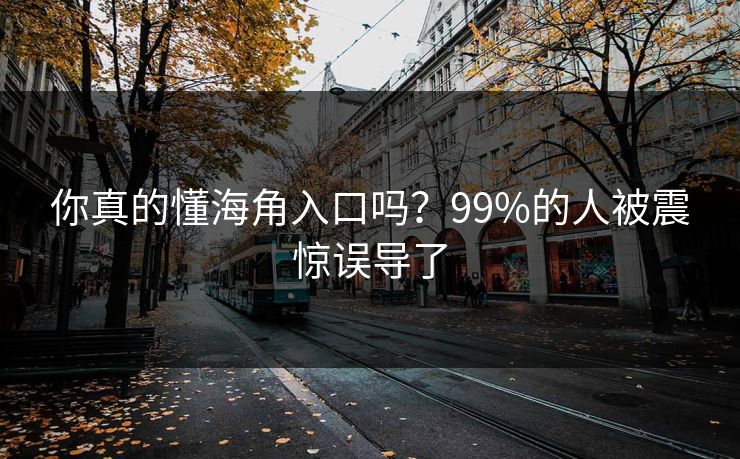 你真的懂海角入口吗？99%的人被震惊误导了