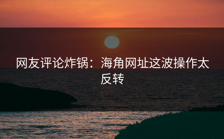 网友评论炸锅：海角网址这波操作太反转