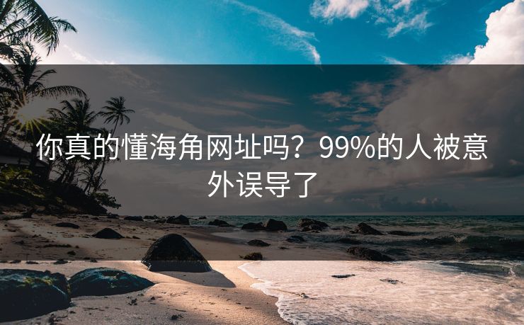你真的懂海角网址吗？99%的人被意外误导了