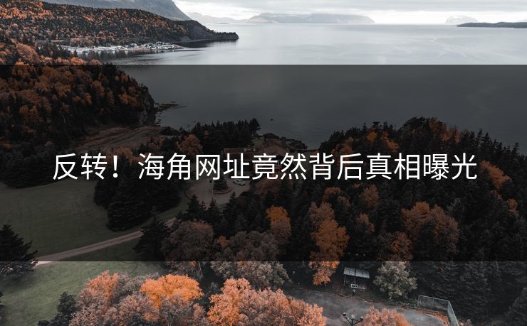 反转！海角网址竟然背后真相曝光
