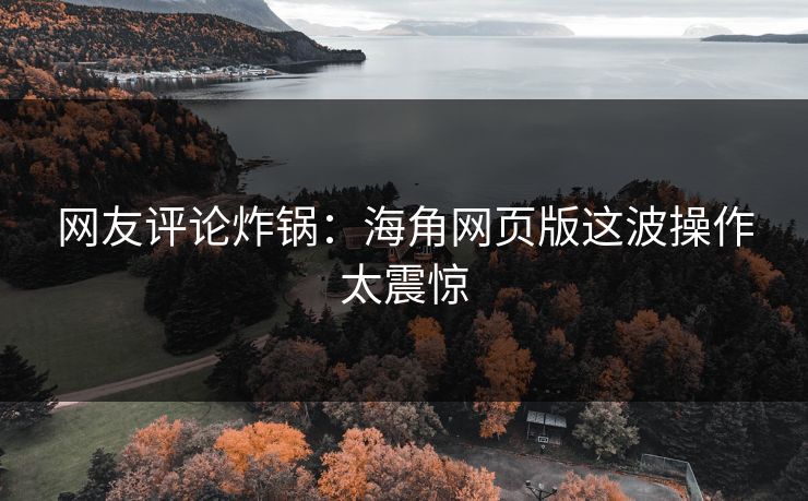 网友评论炸锅：海角网页版这波操作太震惊