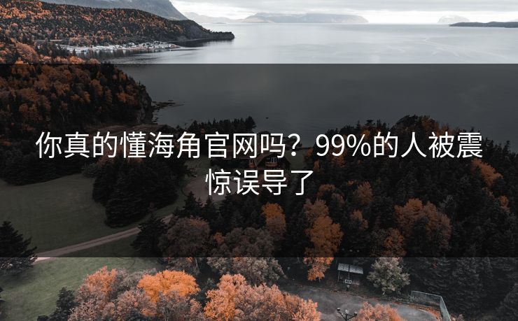 你真的懂海角官网吗？99%的人被震惊误导了