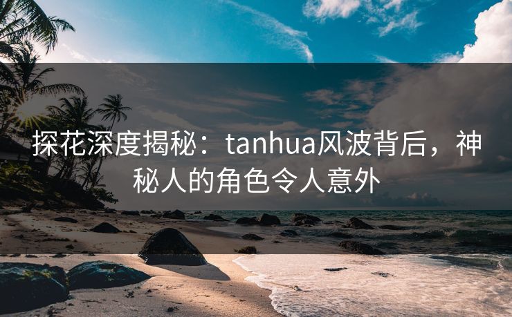 探花深度揭秘：tanhua风波背后，神秘人的角色令人意外