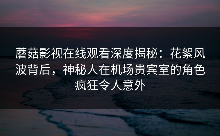 蘑菇影视在线观看深度揭秘：花絮风波背后，神秘人在机场贵宾室的角色疯狂令人意外