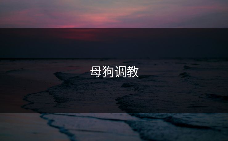 母狗调教